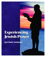 Experiencing Jewish Prayer cover